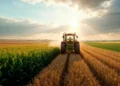 Biocombustíveis podem impulsionar adaptação climática e crescimento econômico no Brasil
