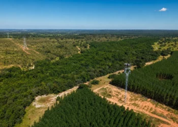 Arauco usa drones para instalar cabos de alta tensão e reduzir impacto ambiental em MS