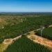 Arauco usa drones para instalar cabos de alta tensão e reduzir impacto ambiental em MS