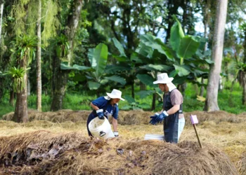 Tigre incentiva projeto de Reciclagem e promove ação de voluntariado com Compostagem