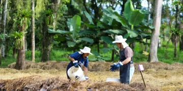 Tigre incentiva projeto de Reciclagem e promove ação de voluntariado com Compostagem