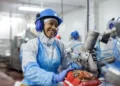 MBRF lança programa de estágio para formar futuros líderes da indústria de alimentos
