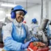 MBRF lança programa de estágio para formar futuros líderes da indústria de alimentos