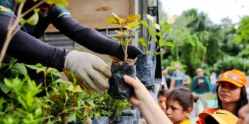 Manaus usa drones para prevenir queimadas com chegada do El Niño