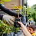 Manaus usa drones para prevenir queimadas com chegada do El Niño