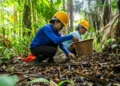 Natura cria startup para levar bioingredientes da Amazônia ao mercado global