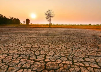 Associação Brasileira de Municípios lança guia sobre El Niño