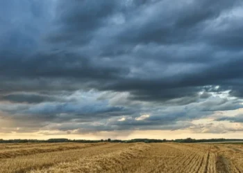 El Niño 2026-27 pode gerar superoferta de grãos na América Latina, aponta estudo da Allianz Trade