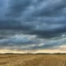 El Niño 2026-27 pode gerar superoferta de grãos na América Latina, aponta estudo da Allianz Trade