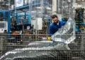 Ford e GM disputam novos contratos militares