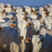 Carne bovina brasileira rende quase US$ 10 bilhões com exportações recordes, diz Abiec
