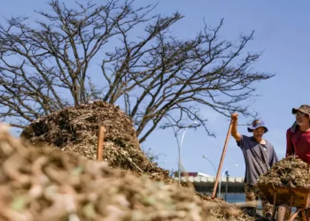 Brasília recebe sistemas agroecológicos inspirados em quatro biomas brasileiros