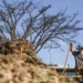 Brasília recebe sistemas agroecológicos inspirados em quatro biomas brasileiros