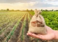 Cooperativas dobram fatia no PIB do agro e avançam em meio à crise das revendas