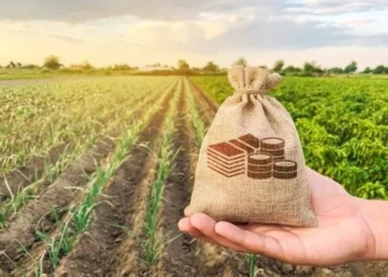 Cooperativas dobram fatia no PIB do agro e avançam em meio à crise das revendas