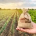 Cooperativas dobram fatia no PIB do agro e avançam em meio à crise das revendas