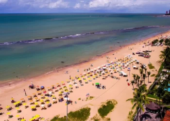 Recife será cidade-piloto de projeto global de reciclagem com potencial de atrair R$ 300 milhões