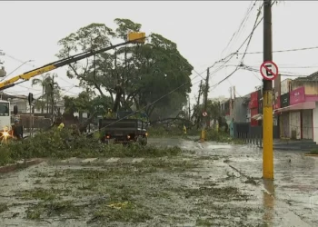 Governo de SP libera crédito emergencial de R$ 400 milhões para empresas e produtores rurais após temporal em Ribeirão Preto